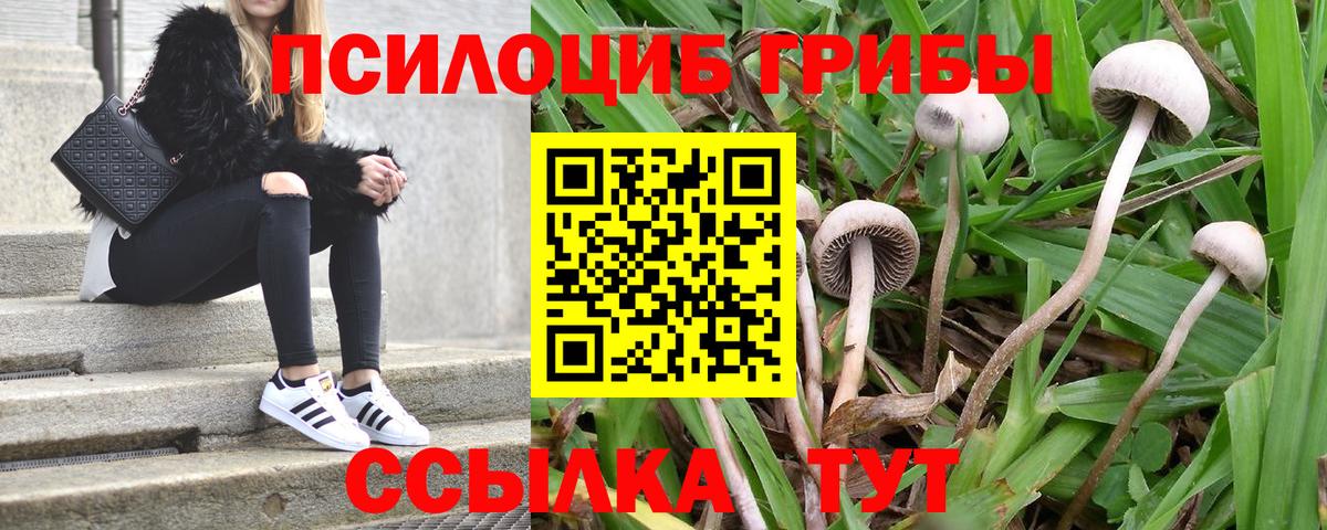 Галлюциногенные грибы ЛСД Джанкой