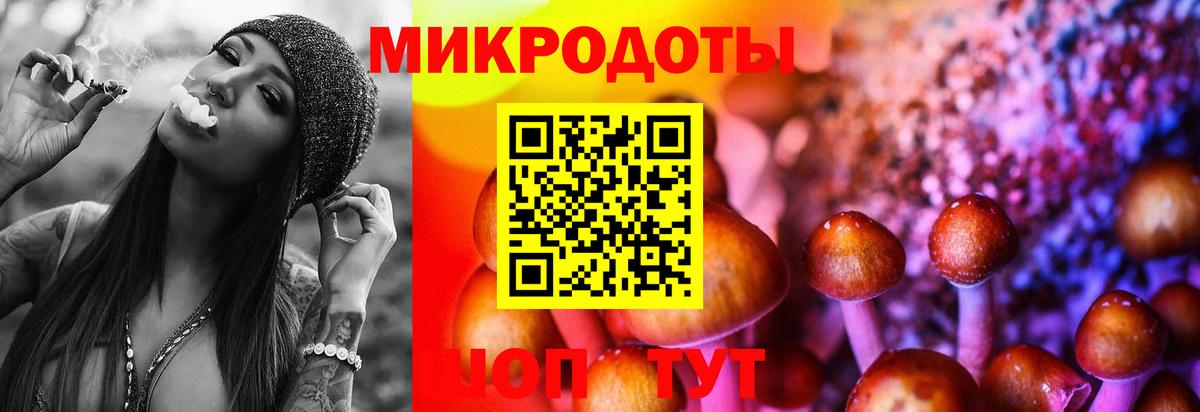 Псилоцибиновые грибы Magic Shrooms  даркнет сайт  Джанкой  Вход с VPN  Галлюциногенные грибы MAGIC MUSHROOMS 